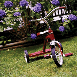Tricycle_2_3